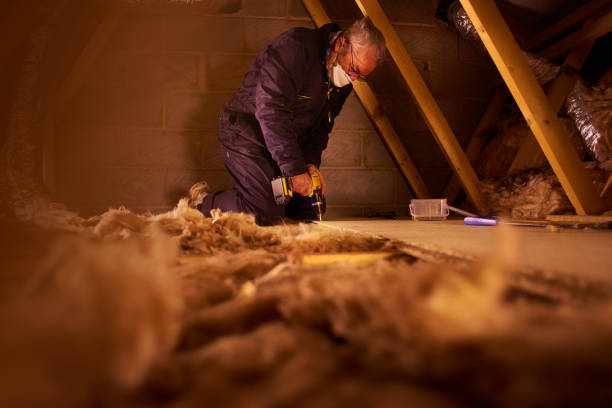 Best Local Insulation Services  in Crestview, FL